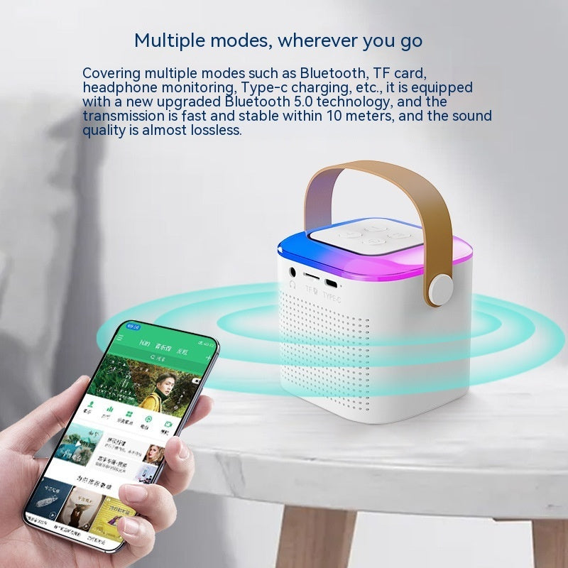 Portable Bluetooth Karaoke Machine