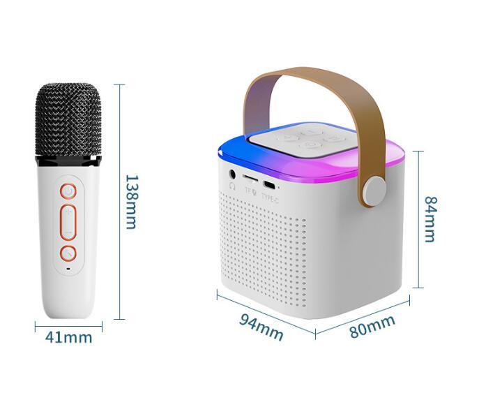 Portable Bluetooth Karaoke Machine